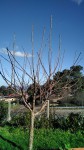 IMG_20200120_115443_380.jpg