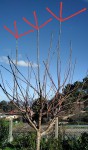 20200120_120205.jpg