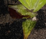 IMG_20200123_185941.jpg