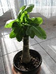 IMG_1910.JPG