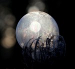 Bulle 2.jpg