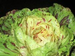 castelfranco bis.JPG