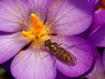 15.02.2020Lumix.jpg_28.jpg