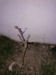 IMG_9015.jpg
