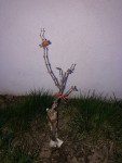 IMG_9014.jpg