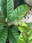 IMG_0440.JPG