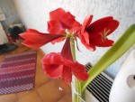 DSCN0582.JPG