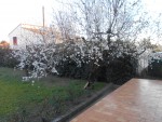 DSCN0584.JPG