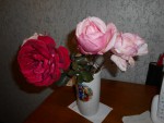 DSCN0587.JPG