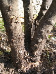 img_3475.jpg