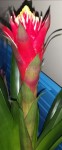 IMG_20200227_080838.jpg