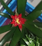 IMG_20200227_084955.jpg