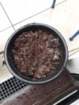terreau horticole.jpg