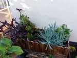 20190511_074141.jpg