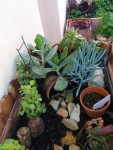 Jardiniere_Zen_21-02-2019 (3).jpg