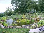 P1000211 (Custom).JPG