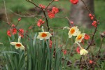 DSC02574.jpg