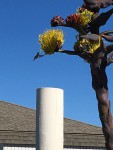 IMG_5581.JPG