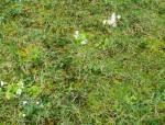 IMG_20200311_072002.jpg
