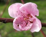 IMG_20200308_161838.jpg