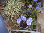 DSCN0592.JPG