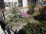 DSCN0602.JPG
