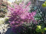 DSCN0603.JPG
