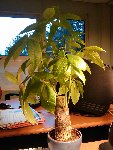IMAGE_023.jpg