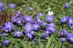 DSC02592.jpg