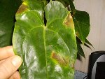 PICT07421.jpg