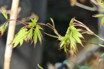 photo02.JPG