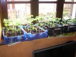 DSCN0361.JPG