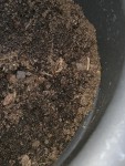 IMG_20200318_124041_resize_12.jpg