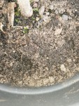 IMG_20200318_124036_resize_34.jpg