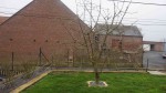DSC09184.JPG