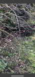 158FAE0C-AB27-4437-A955-079EE274436E.jpeg