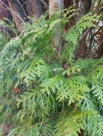 IMG_20200325_091658.jpg