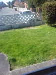 thumbnail_20200325_122727.jpg