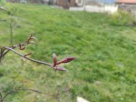 IMG_20200326_153232.jpg