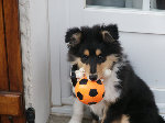 PICT0026.JPG
