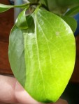 IMG_20200329_174120.jpg