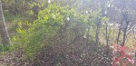 20200329_164311_resized_1.jpg