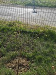 IMG-20200330-WA0067.jpg