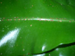 DSCN3204.JPG