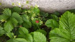 IMG_20200331_184912_162.jpg