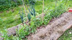IMG_20200331_184713_399.jpg