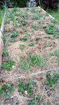 IMG_20200331_184814_740.jpg