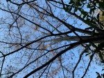 IMG_0882.jpg