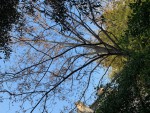 IMG_0880.jpg