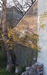 20200331_194929-864x1374.jpg